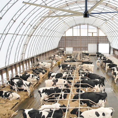 Grandes ventiladores de teto HVLS industriais para grandes ventiladores de oficina de fábrica