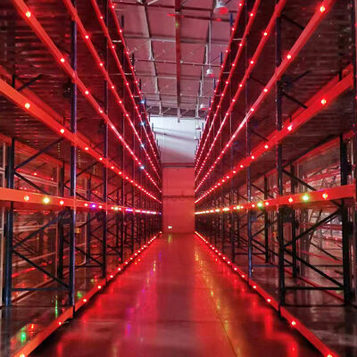 Revestimentos para automóveis 2.5T Carga Eletricidade Revestimento móvel com trilho guiado